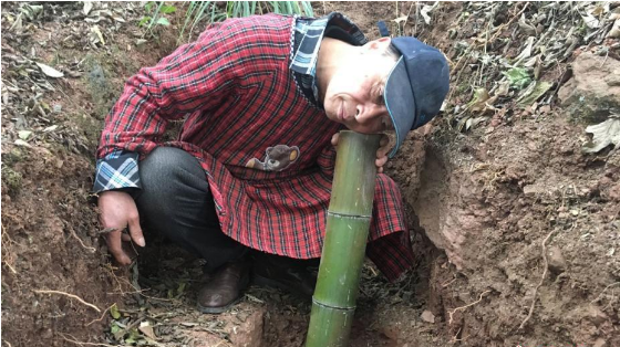 老人藏山里造古琴 似現(xiàn)實版掃地僧